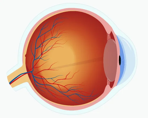 Top eye care hospital in Colombo